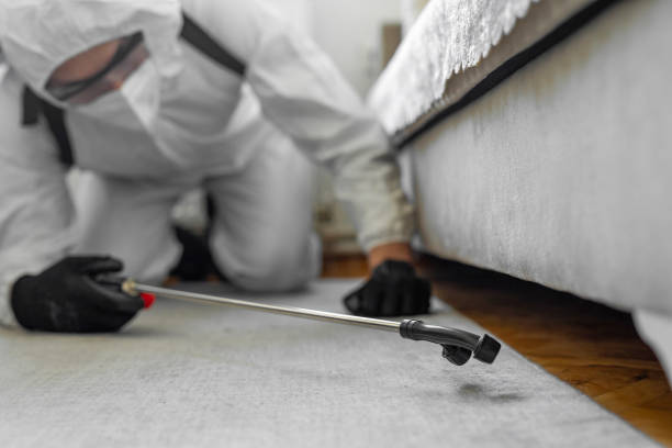 Professional Bed Bug Control technician working in Seaside Heights, NJ