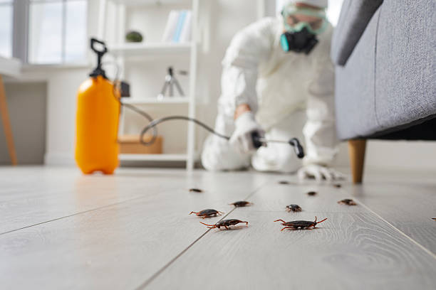 Trusted Termite Control service in Seaside Heights, NJ - Nex Pest Control