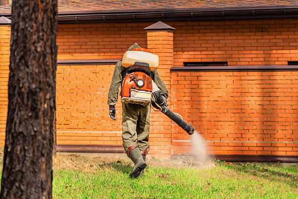 Trusted Mosquito Control service in Seaside Heights, NJ - Nex Pest Control